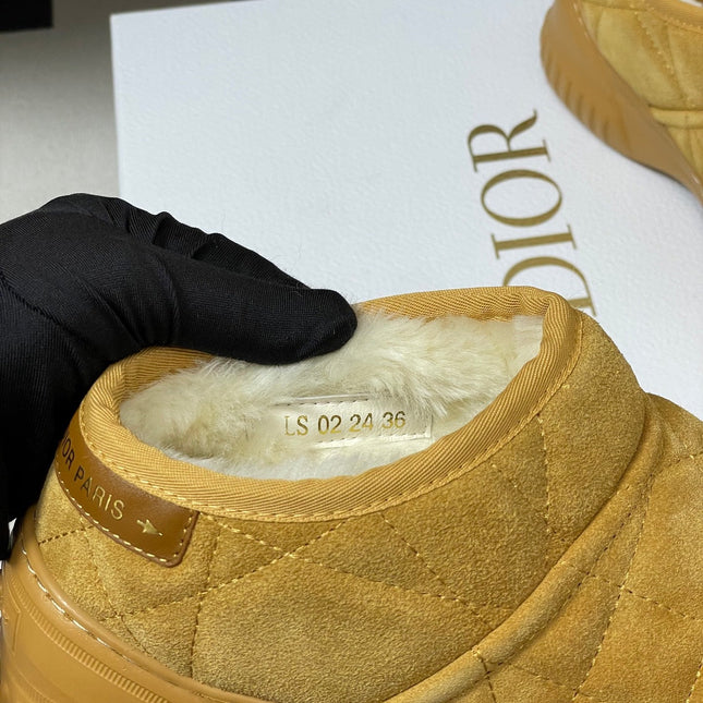 DIOR 25S FROST ANKLE BOOTS IN GOLDEN BROWN SUEDE