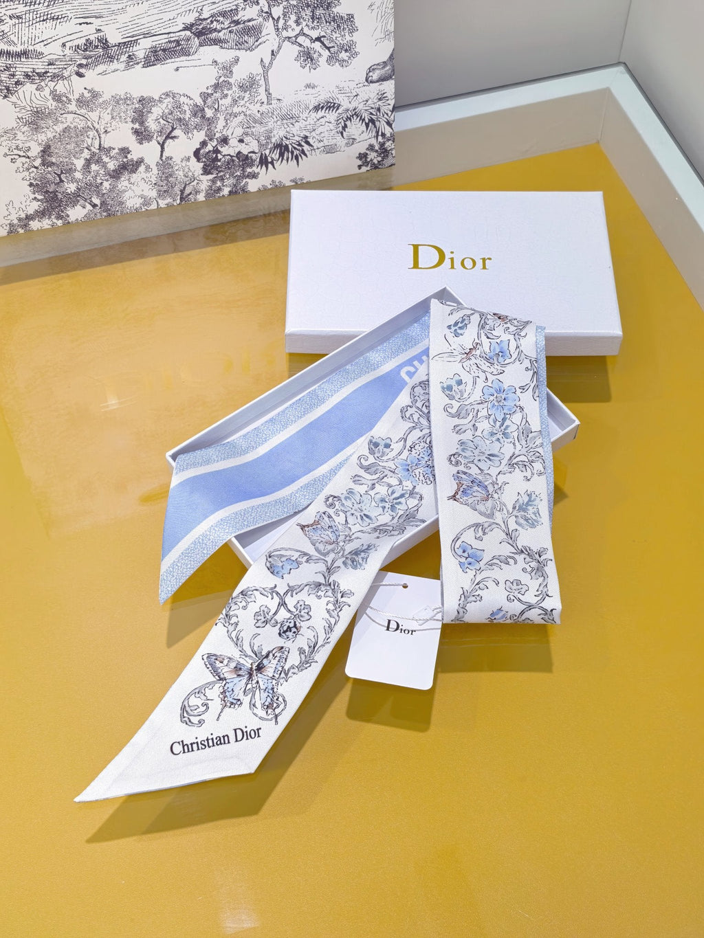 DIOR 26S SCARF 105CM IN SILK 305884