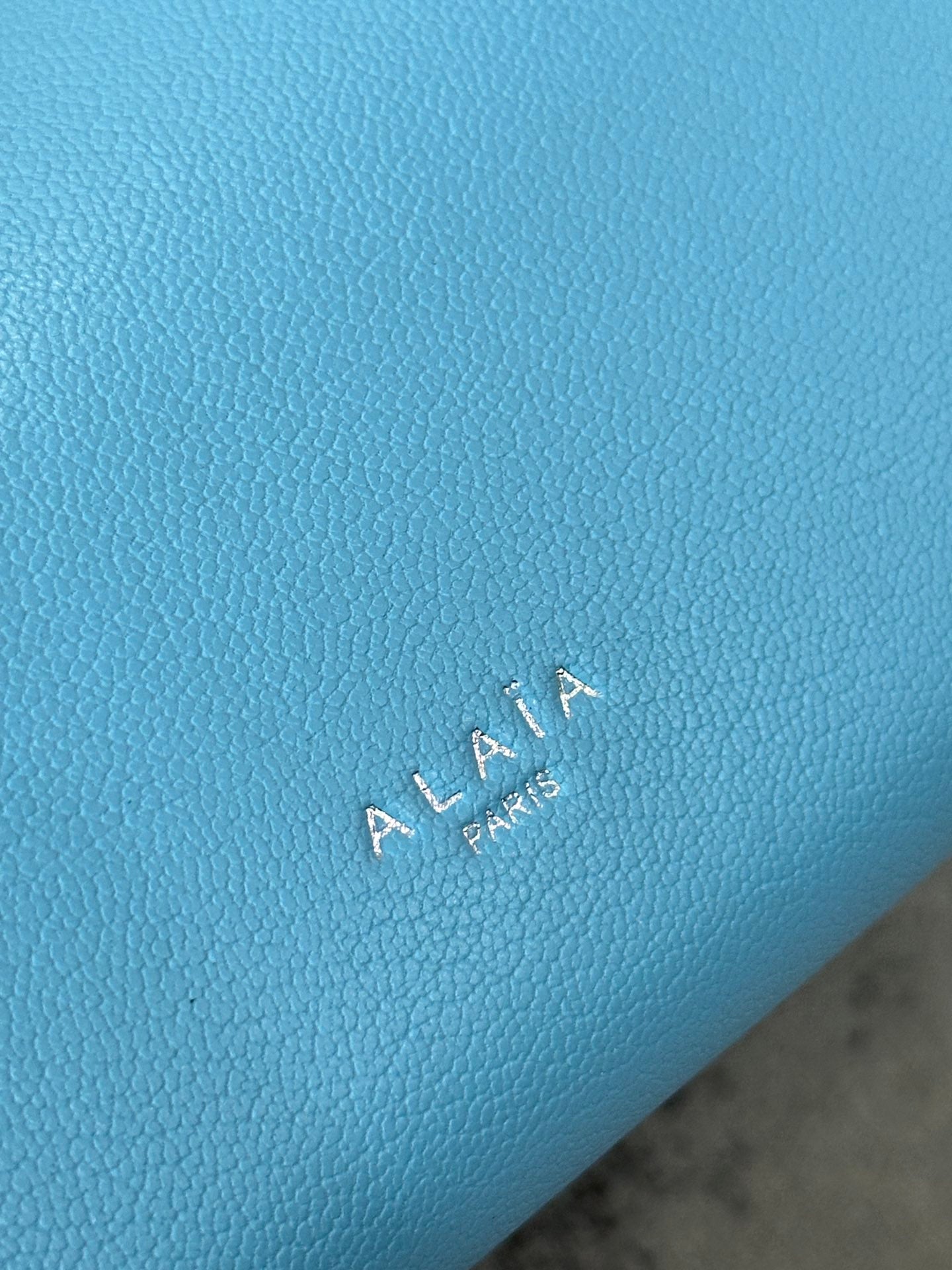 LE TECKEL MEDIUM BAG 32 IN SKY BLUE GOATSKIN