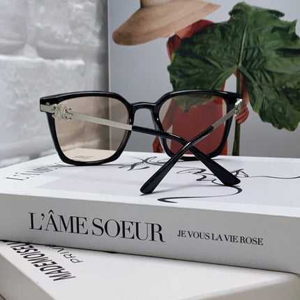TRIOMPHE SUNGLASS 497818 IN SILVER METAL LIGHT BROWN LENSES