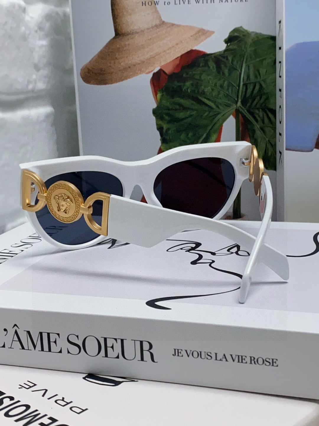 WINGED MEDUSA ROUND FRAME SUNGLASSES 588706 IN ACETATE