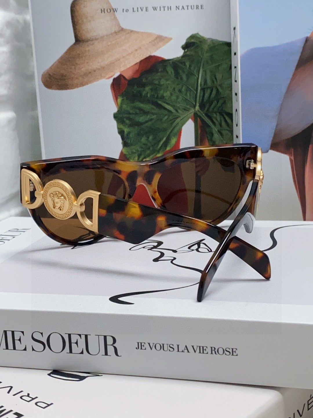 WINGED MEDUSA ROUND FRAME SUNGLASSES 588706 IN ACETATE