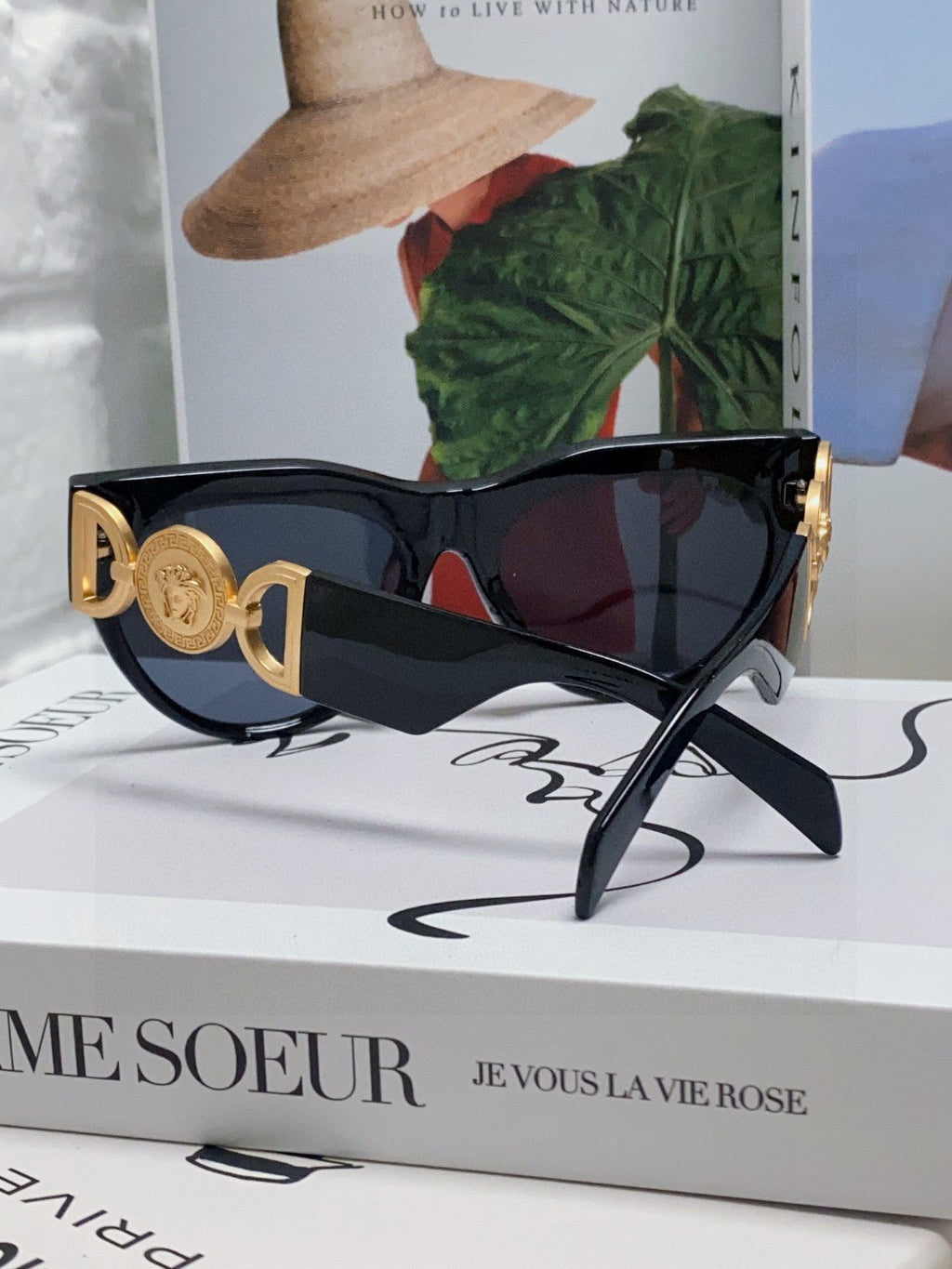 WINGED MEDUSA ROUND FRAME SUNGLASSES 588706 IN ACETATE