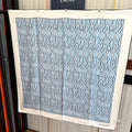 DIOR 26S SCARF 90CM IN SILK 307333