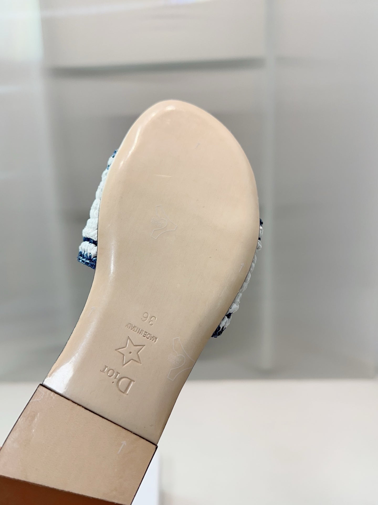 DIOR 26S WOVEN-STRAP SANDALS IN WHITE AND NAVY BLUE CALFSKIN