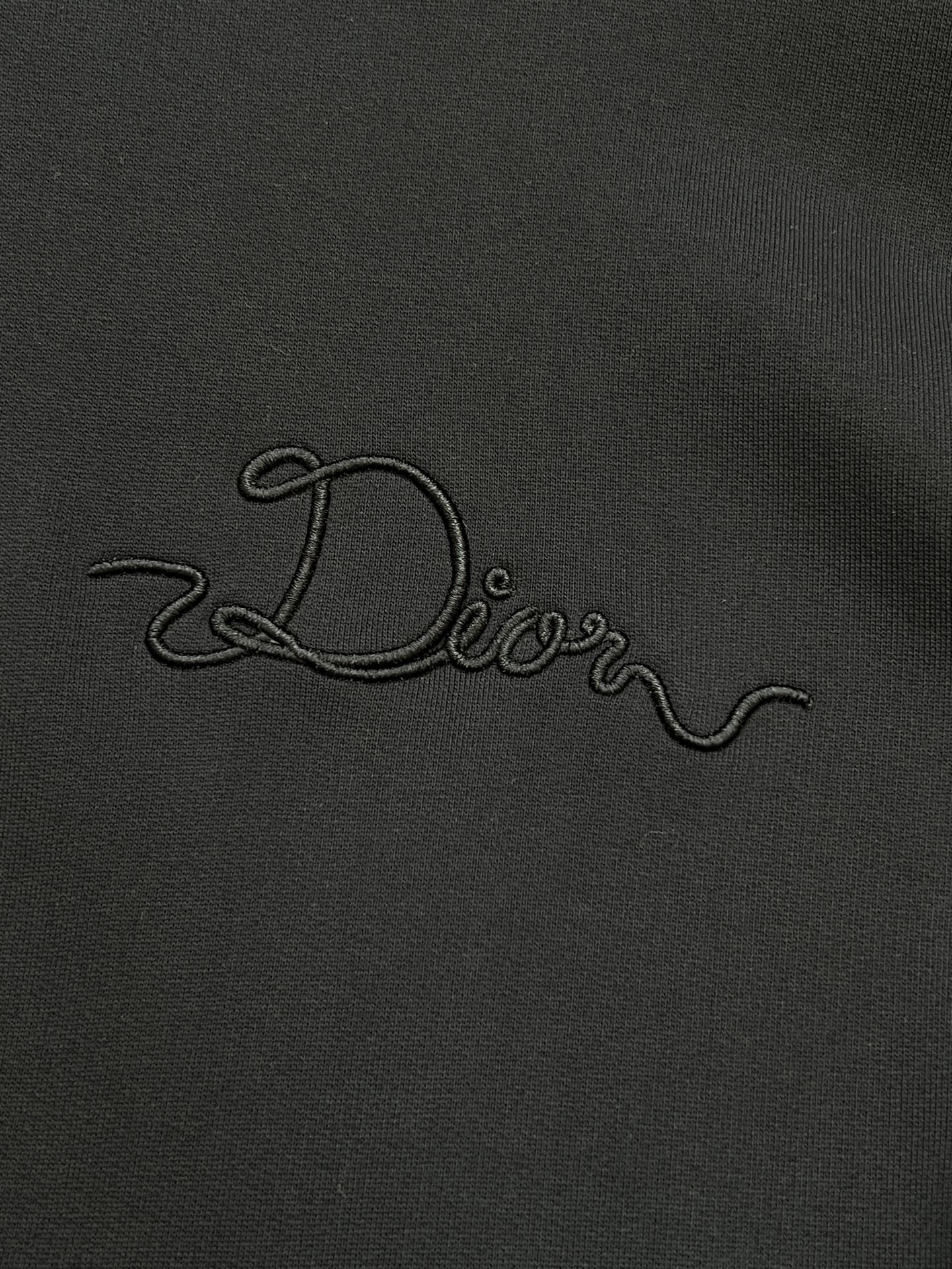 DIOR 25S HOODIE 745