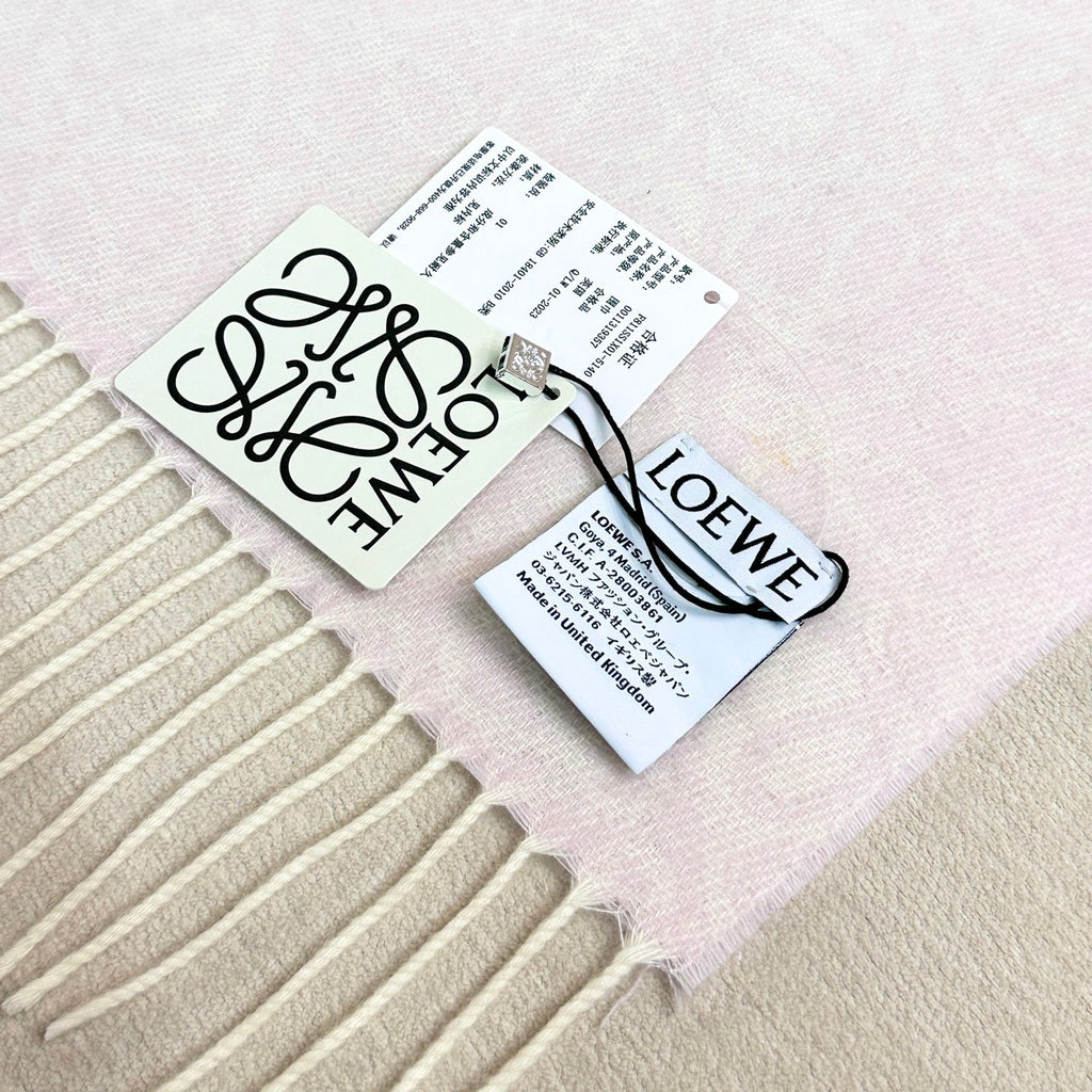 LOEWE 26S SCARF 180 IN CASHMERE WOOL 266429