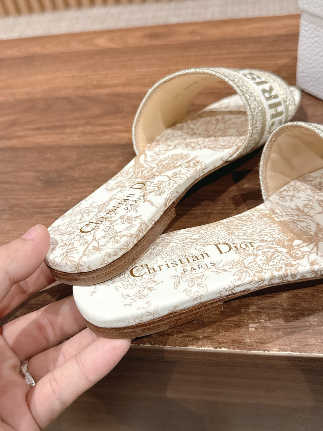 DIOR 26S SLIDE SANDALS IN BEIGE TOILE DE JOUY LOGO