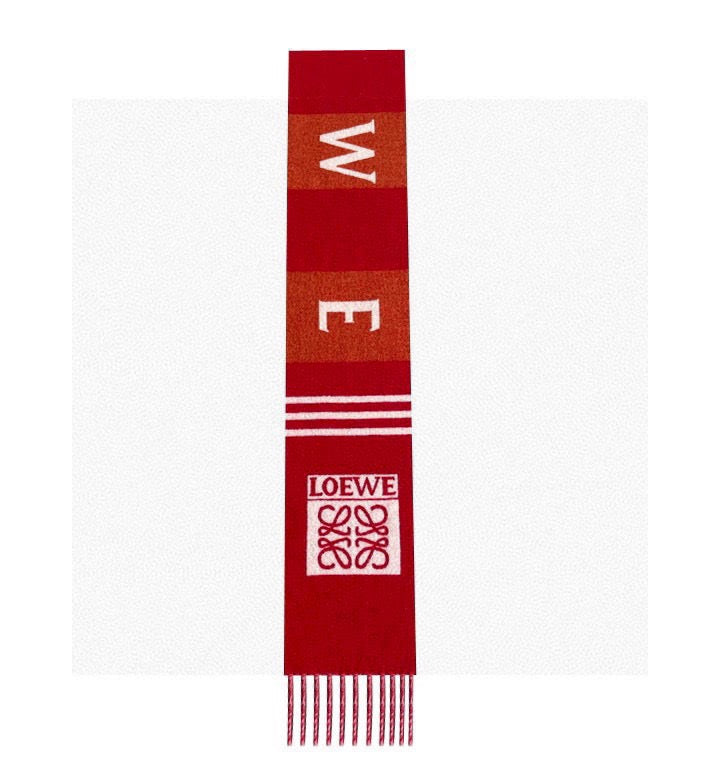 LOEWE 26S SCARF 190 IN CASHMERE 113522