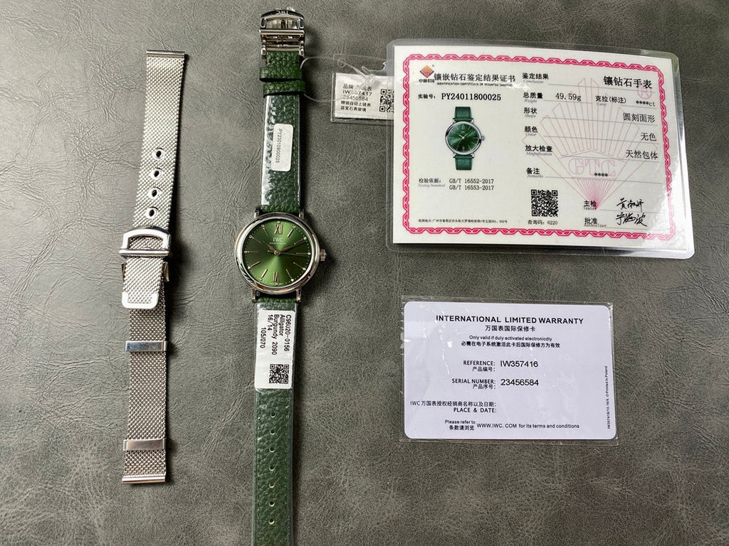 PORTOFINO AUTOMATIC 34 WATCH SILVER CASE WITH JUNGLE GREEN LEATHER STRAP AND DIAL