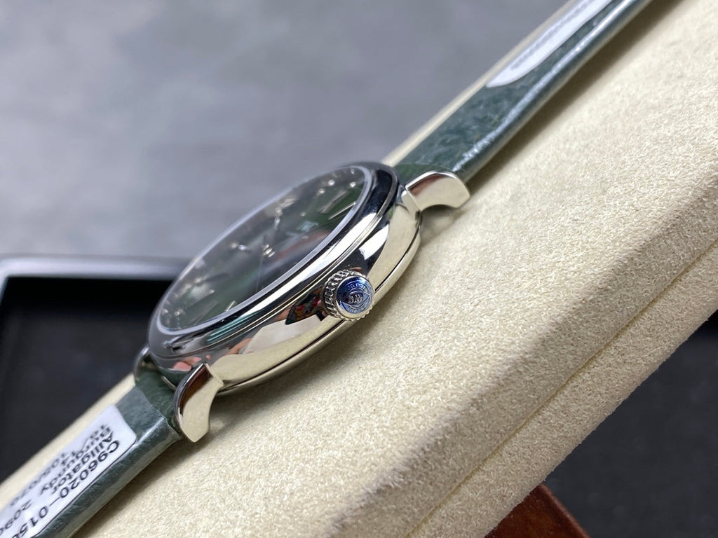 PORTOFINO AUTOMATIC 34 WATCH SILVER CASE WITH JUNGLE GREEN LEATHER STRAP AND DIAL