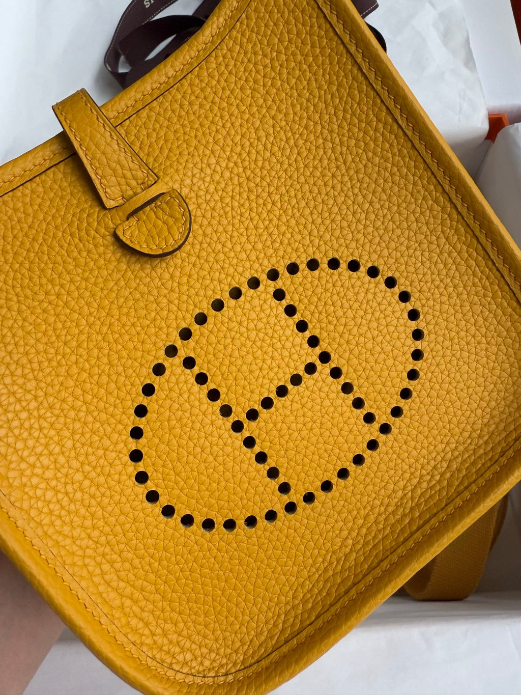 HM 25S EVELYNE 17 CM IN DARK YELLOW COWHIDE WITH GOLD HARDWARE